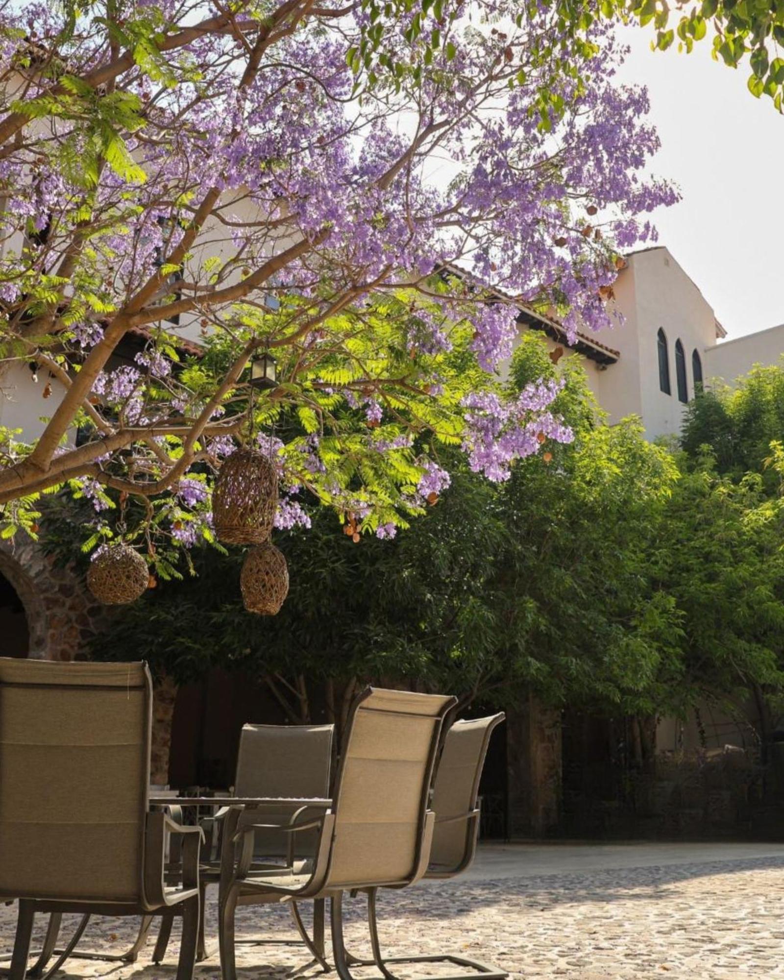 Suites Campestres Montebello แบร์นัล ภายนอก รูปภาพ